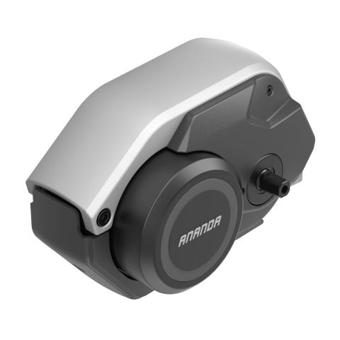 Motor Central 250W -Ananda M100
